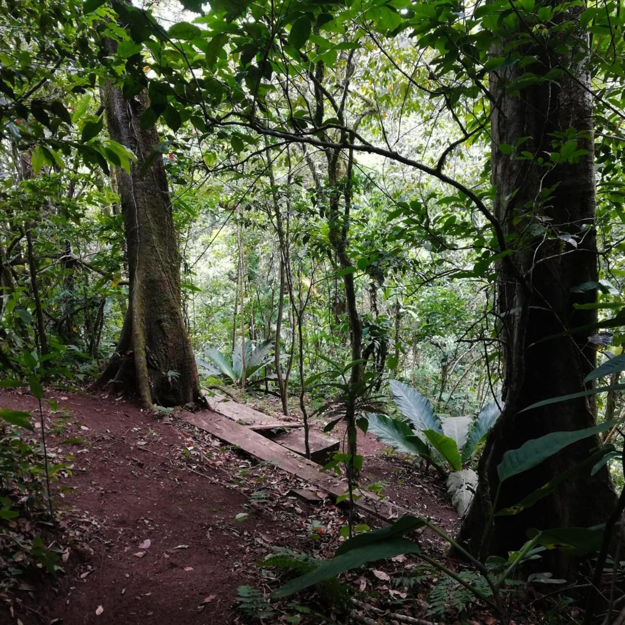 Casa Urraca, Magnifica Vista Al Oceano Pacifico Villa Monteverde Luaran gambar